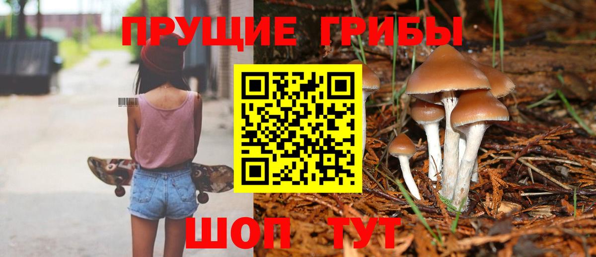 Галлюциногенные грибы Psilocybe  Вход с VPN  Шарыпово 